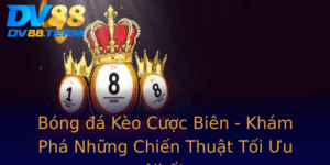Bong A Keo Cuoc Bien Kham Pha Nhung Chien Thuat Toi Uu Nhat