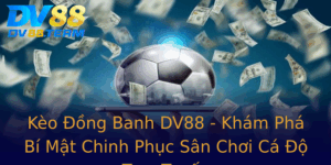 Keo Ong Banh Dv88 Kham Pha Bi Mat Chinh Phuc San Choi Ca O Truc Tuyen
