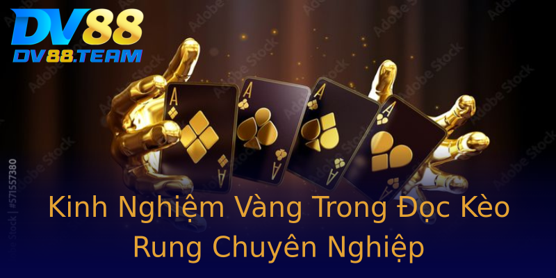 Kinh Nghiệm Vàng Trong Đọc Kèo Rung Chuyên Nghiệp Kinh Nghiệm Vàng Trong Đọc Kèo Rung Chuyên Nghiệp