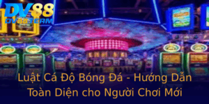 Luat Ca O Bong A Huong Dan Toan Dien Cho Nguoi Choi Moi