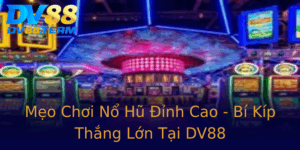Meo Choi No Hu Inh Cao Bi Kip Thang Lon Tai Dv88