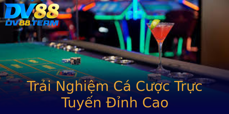 Trải Nghiệm Cá Cược Trực Tuyến Đỉnh Cao Trải Nghiệm Cá Cược Trực Tuyến Đỉnh Cao